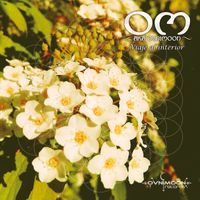 Om - Viaje al Interior