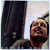 Carlos Salas - Atardeceres de efecto invernadero