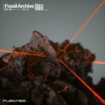 Fossil Archive - Shine