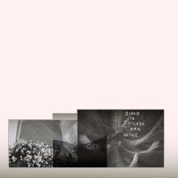 Fionn Regan - BLOOD IS THICKER THAN WINE