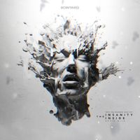 Devin Wild - The Insanity Inside (Into The Madness 2024 Anthem)