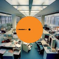 Boston Bun - NOBODY // ME