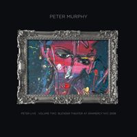 Peter Murphy - Peter Live - Volume 2 - Blender Theater at Gramercy NYC 2008