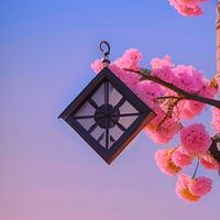 JEMAL - Время не лечит