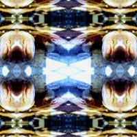 QUBE - SIDEFX66 (Explicit)