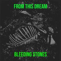 Bleeding Stones - From This Dream