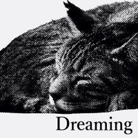 GAO - Dreaming