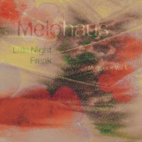 Melohaus - Late Night Freak