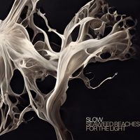 Slow - Seaweed Reaches for the Light