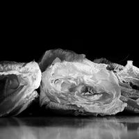 Lovelyn - Whisper in the Halls