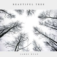 James Ryan - Beautiful Tree