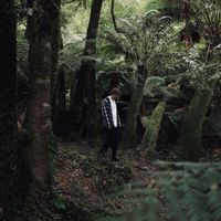 Frame - Apollo Bay Rd