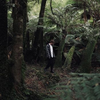 Frame - Apollo Bay Rd