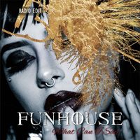 Funhouse - What Can I Say (Radio Edit)