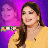Saira Naseem - Main Te Mera Dilbar Jani