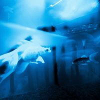 akuma - ódio (Explicit)