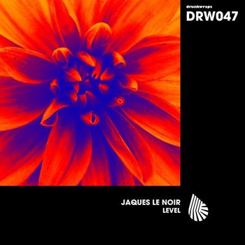 Jaques Le Noir - Level