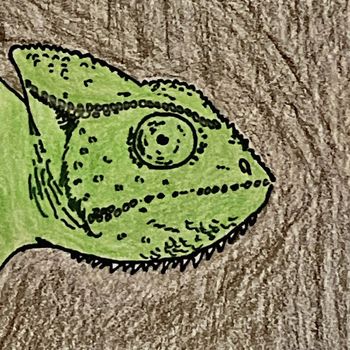 Murr - The Chameleon