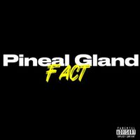 Fact - Pineal Gland (Explicit)
