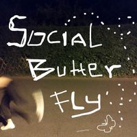 arash - Social Butterfly