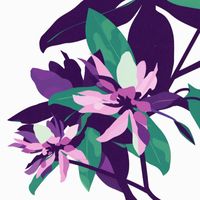 .EEhOU - Petals