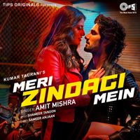 Amit Mishra - Meri Zindagi Mein