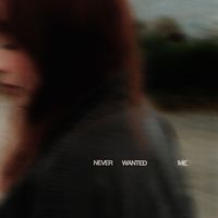 FION - never wanted me