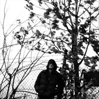 Mammal - Nobody's Brother