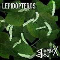 Bombyx Blow - Lepidopteros