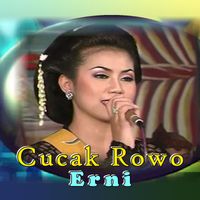erni - Cucak Rowo