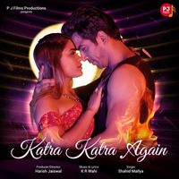 Shahid Mallya - Katra Katra Again