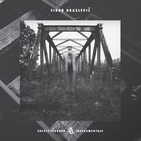 Figub Brazlevic - Ersatzverkehr (Instrumentals)
