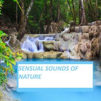 Orquesta Club Miranda - Sensual Sounds Of Nature