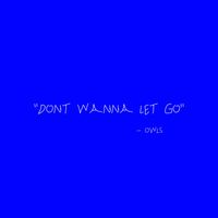 OWLS - Don't Wanna Let Go