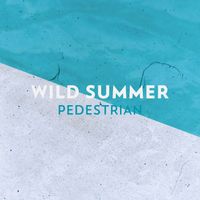 Pedestrian - Wild Summer (Explicit)