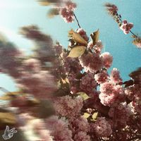 Vicky Sometani, MAX RAD - calling out your love