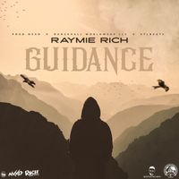 Raymie Rich - Guidance