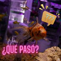 Blu - ¿Qué Pasó?