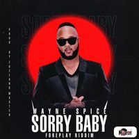 Wayne Spice - Sorry Baby