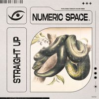 Numeric Space - Straight Up (Original Mix)