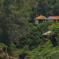 sweet - THE SWEET TAPE (Explicit)