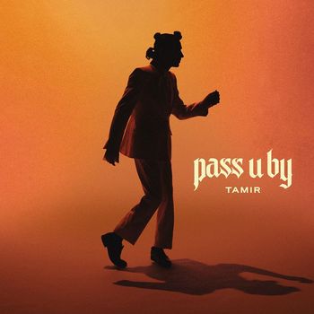 Tamir - Pass U By