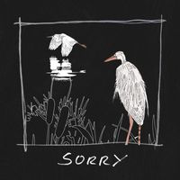 Tors - Sorry