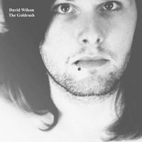 David Wilson - The Goldrush (2024 Remaster [Explicit])