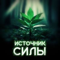 ZamAL - Источник силы