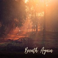 Meyer - Breath Again (Acoustic)