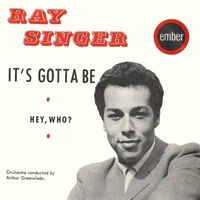 Ray Singer - It's Gotta Be