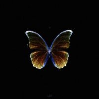 Unworldly - Embrace Me