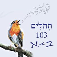 Andrew Case - Psalm 103 תְּהִלִּים