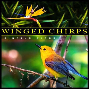 Singing Birds - Winged Chirps